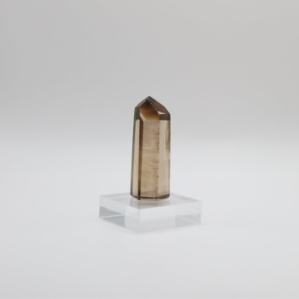 Extra Grade Citrine (X)