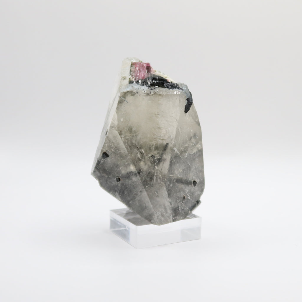 Tourmalinated Quartz (III)