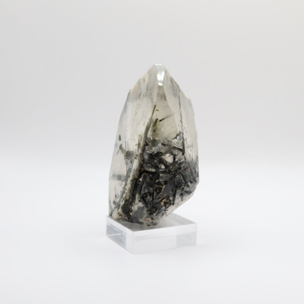 Tourmalinated Quartz (III)