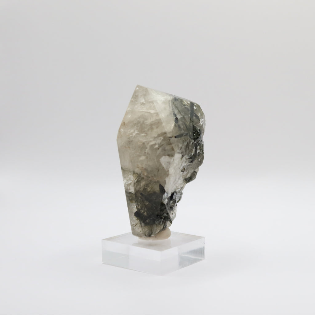Tourmalinated Quartz (IV)