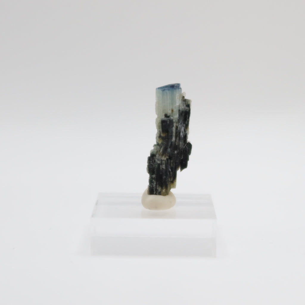 Black Tourmaline - Blue Cap