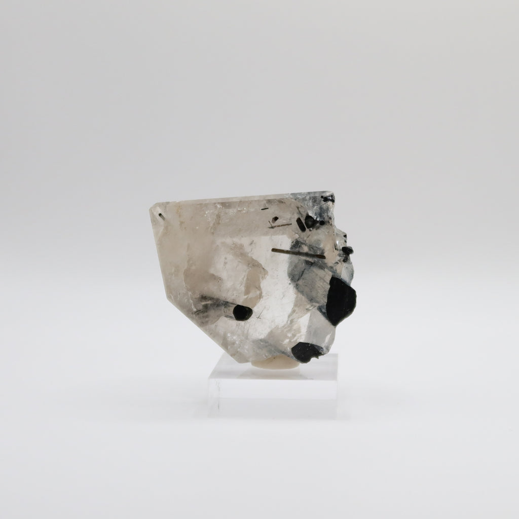 Tourmalinated Quartz (V)