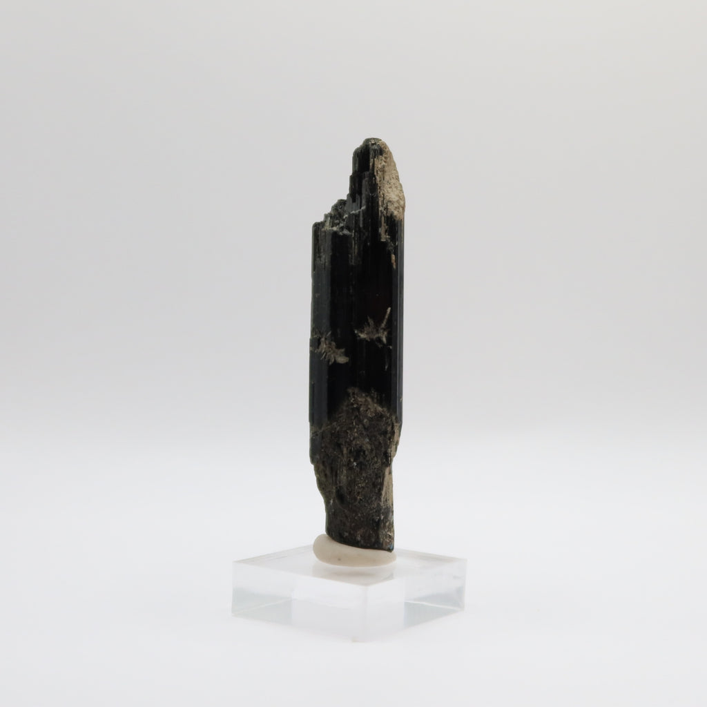 Black Tourmaline (V)