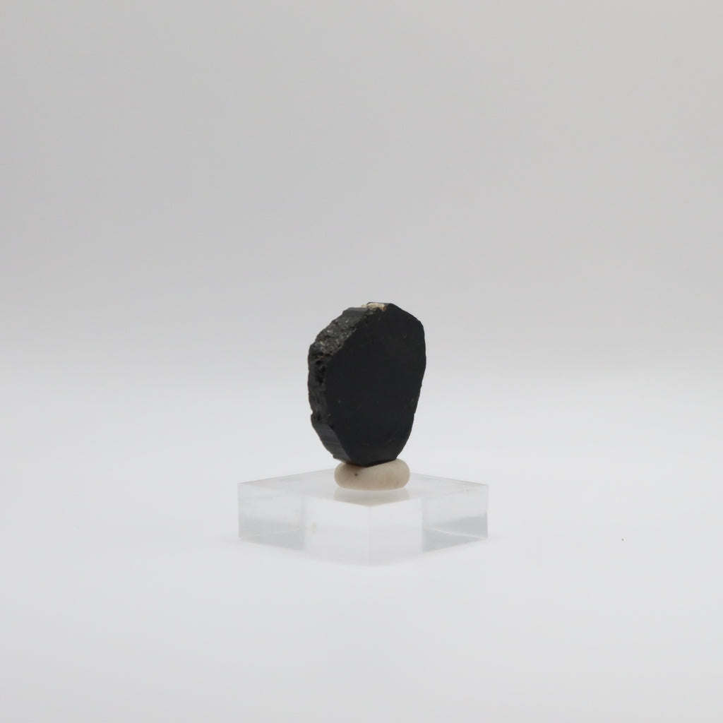 Black Tourmaline - Slice