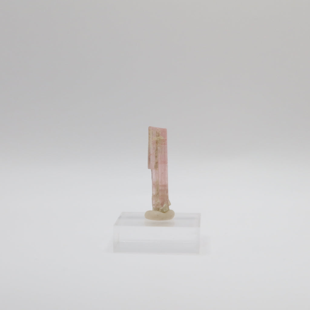 Pink Tourmaline (II)