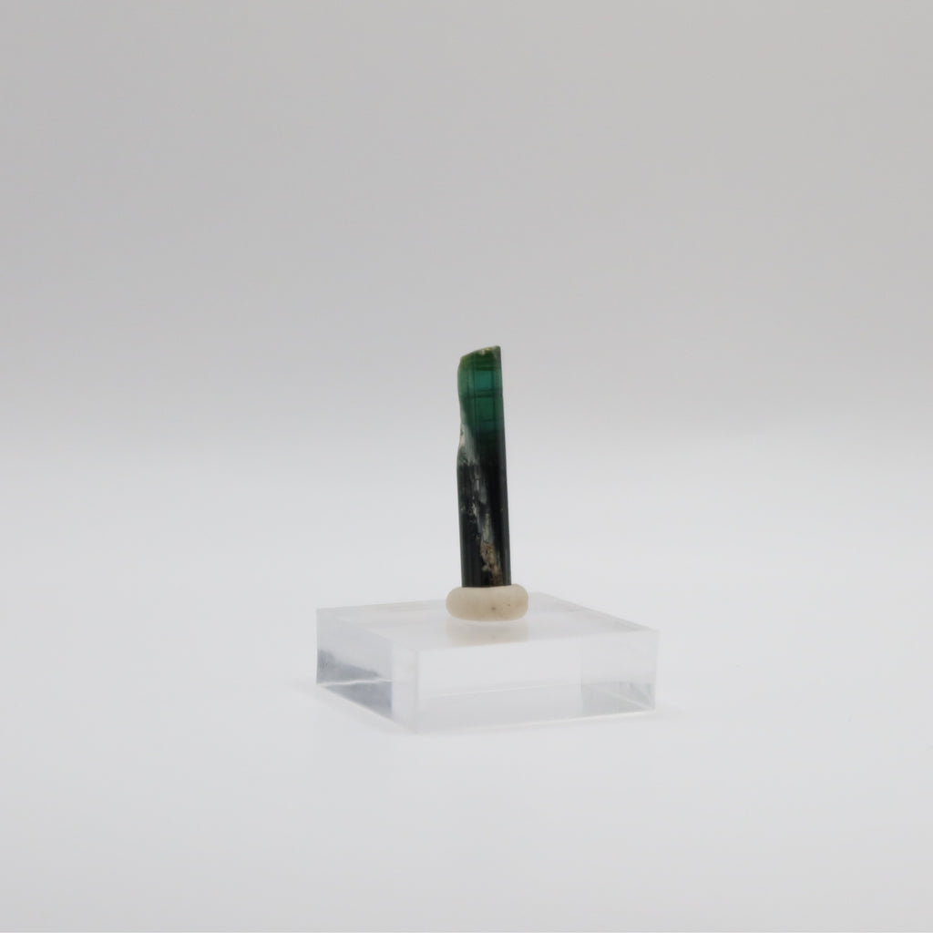 Black Tourmaline - Blue-Green Cap (I)