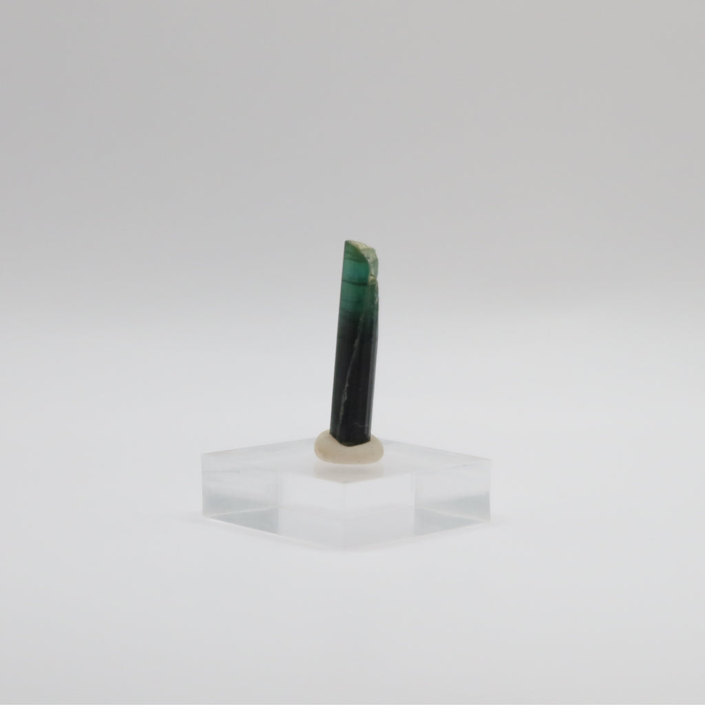 Black Tourmaline - Blue-Green Cap (I)