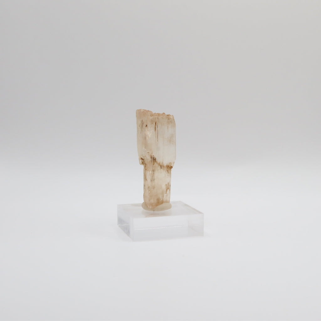 Kunzite (III)