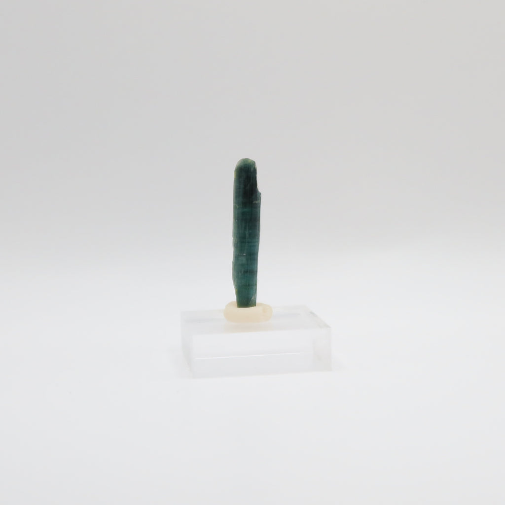 Black Tourmaline - Blue-Green Cap (II)