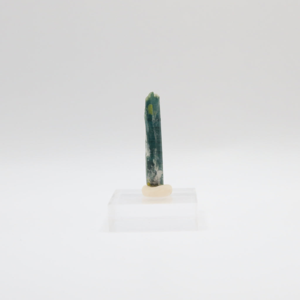 Black Tourmaline - Blue-Green Cap (II)