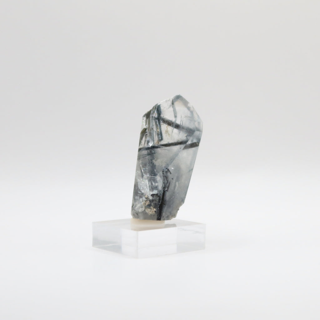 Tourmalinated Quartz (VII)