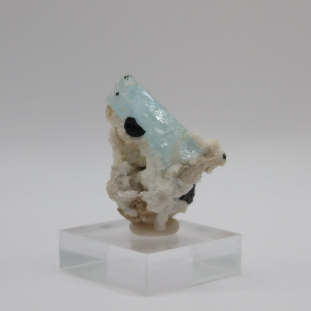 Aquamarine Beryl with Black Tourmaline (III)