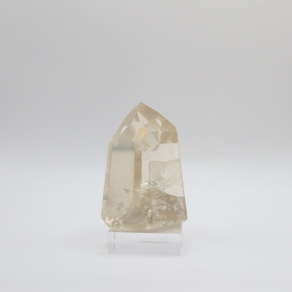 Extra Grade Citrine (II)