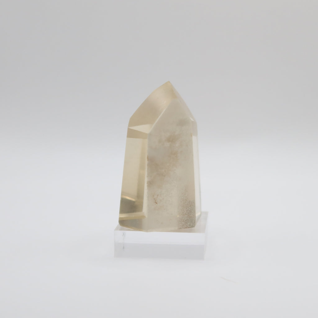 Extra Grade Citrine (III)