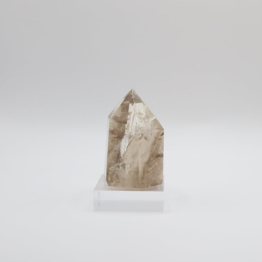 Extra Grade Citrine (V)