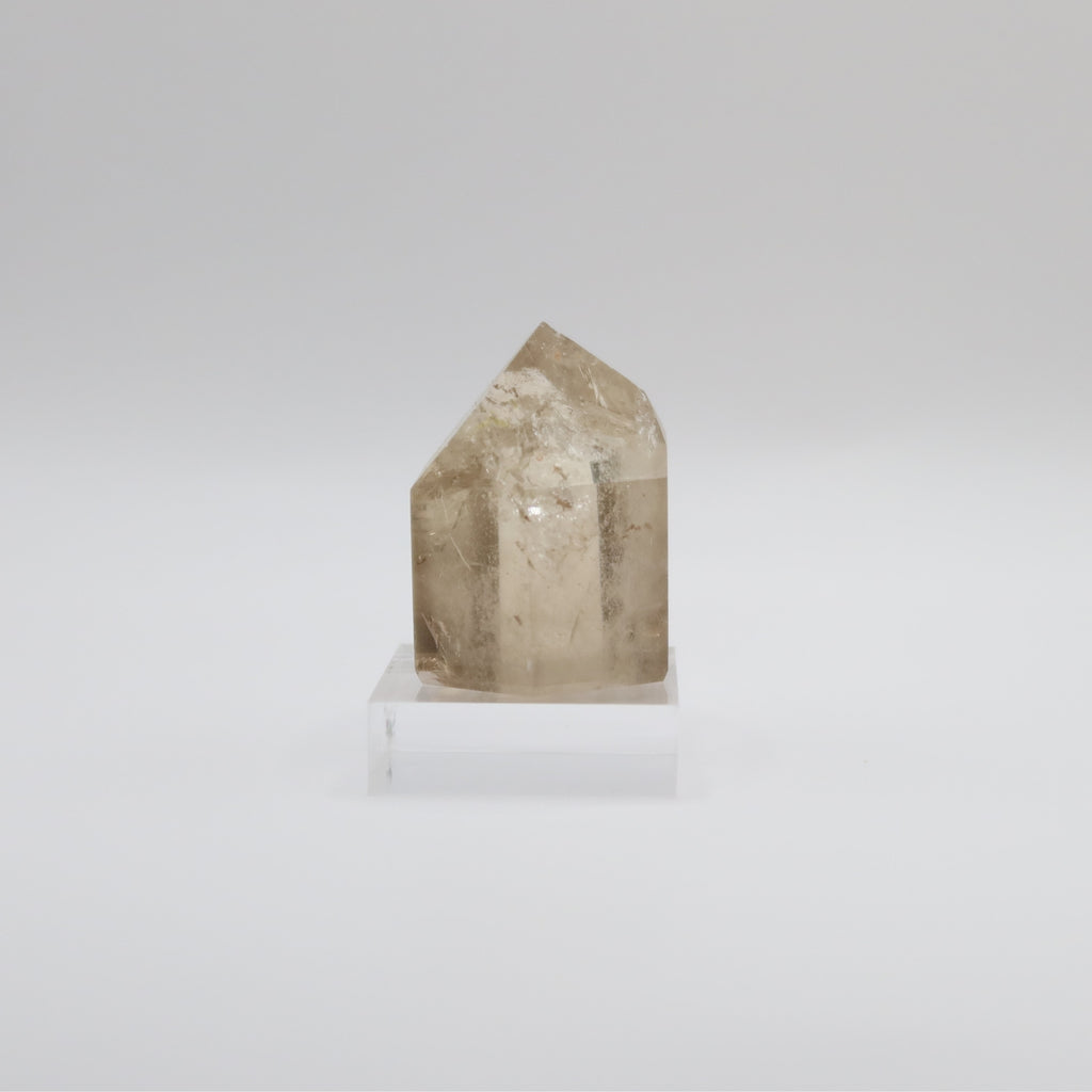 Extra Grade Citrine (VI)