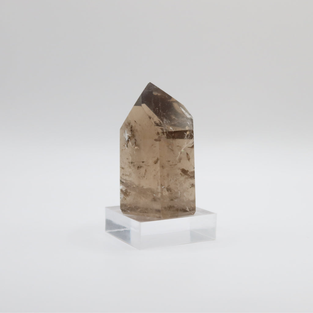 Extra Grade Citrine (VII)
