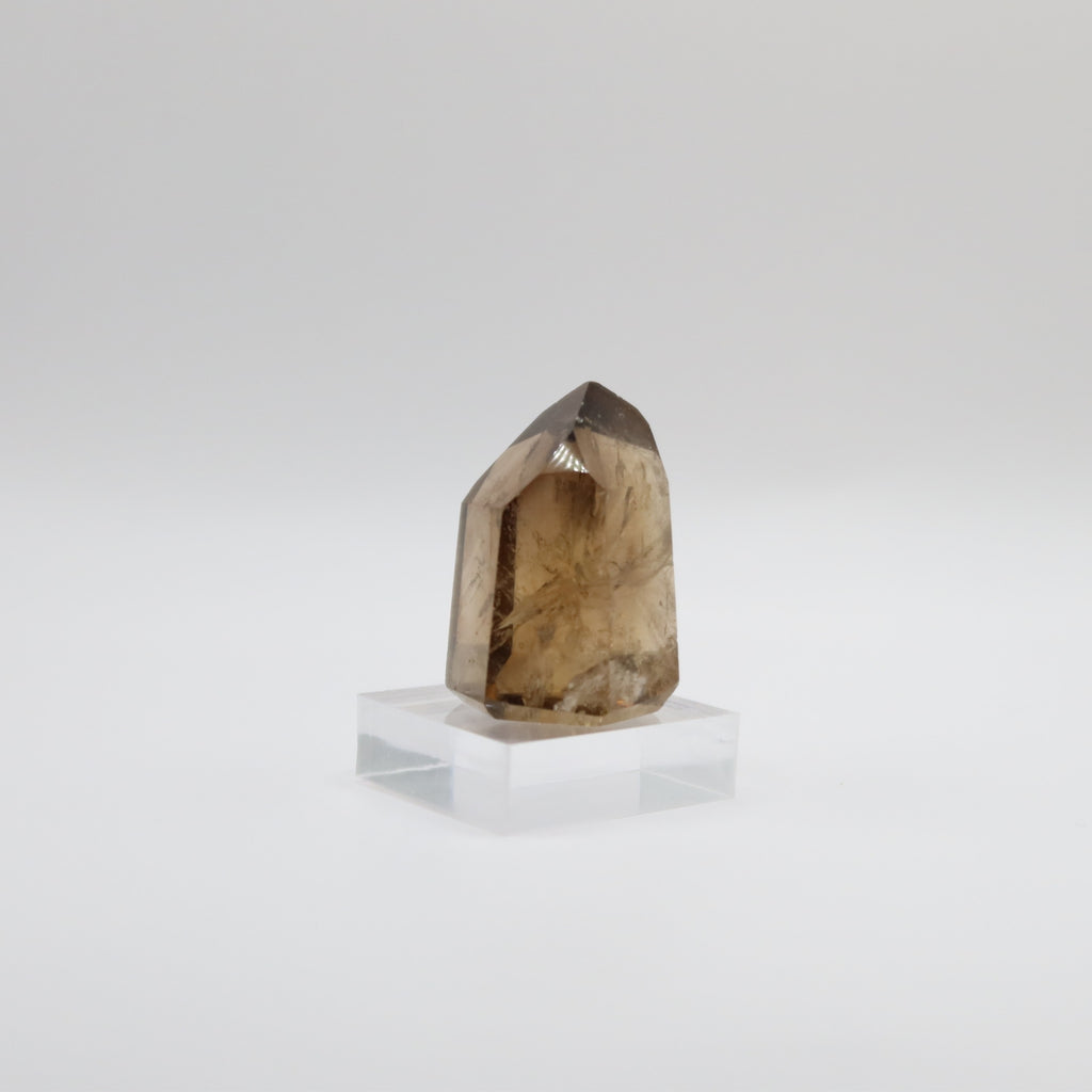 Extra Grade Citrine (VIII)