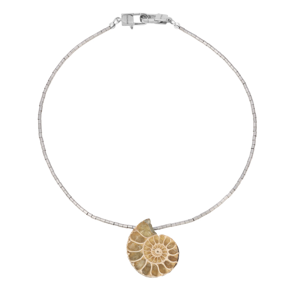 PORTAL Clasp - Ammonite - Arcanum LA